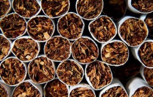 DA LONDRA 30 MILIONI PER PRODURRE TABACCO IN CROAZIA