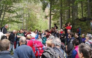 RISONANZE: NUMERI INCORAGGIANTI NEL BINOMIO CULTURA-TURISMO