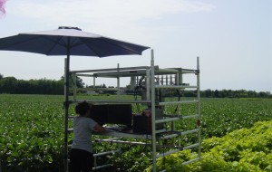 LA SALUTE DELLE PIANTE VISTE DALLO SPAZIO. C’E’ ANCHE L’ATENEO DI UDINE