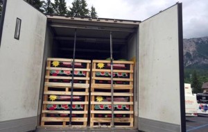 CROAZIA META DI CLANDESTINI