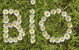 CRESCE IL BIO IN FVG