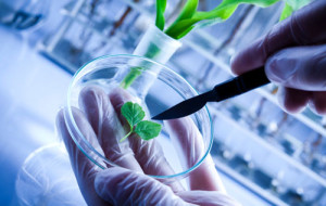 COLTIVARE IL FUTURO CON LA SCIENZA – LE BIOTECNOLOGIE SPIEGATE AGLI STUDENTI