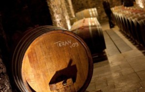 LA SLOVENIA RIVENDICA LA PATERNITA’ DEL TERRANO