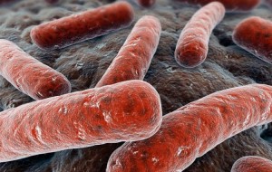 TUBERCOLOSI: SU CASO A TRIESTE INTERVIENE S.I.M.M.