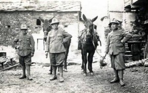 MULI E CONDUCENTI: IN MOSTRA A GORIZIA