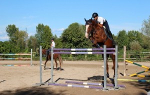 IPPICA: IN ARRIVO 300 CAVALLI ED ATLETI A PORDENONE