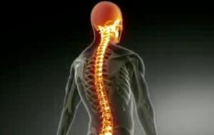 LESIONI MIDOLLARI: CONVEGNO NAZIONALE A UDINE