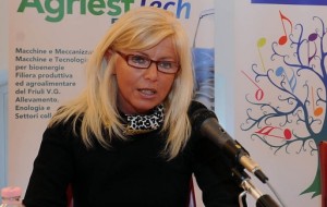 UDINE E GORIZIA FIERE CON I CONTI IN ORDINE. ORA URGE LA FUSIONE