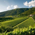 CANDIDATURA UNESCO PER COLLINE DEL PROSECCO: IL MINISTRO FIRMA