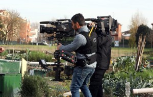 LA SPECIALITA’ DI BELLUNO E DEL SUO TERRITORIO A LINEA VERDE