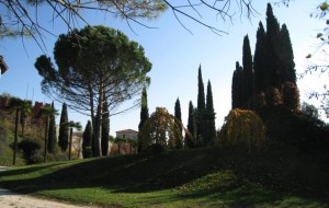 COLLINBICI: PROGETTO PER IL TURISMO FAMILIARE