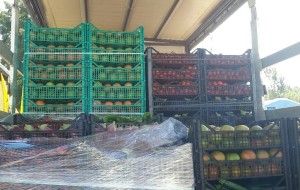 VICENZA: OLTRE 160 TONNELLATE DI ECCEDENZE ALIMENTARI RECUPERATE E DONATE