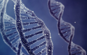 DNA POINT, PRIMO CENTRO IN FRIULI VENEZIA GIULIA PER TEST GENETICI