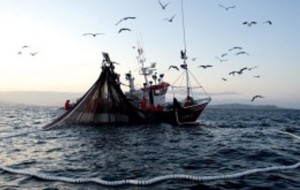 PESCA IN VENETO, 8,7 MLN DI FONDI DESTINATI AL SOSTEGNO DEL SETTORE”