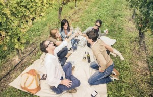 PRIMO PICNIC TRA LE VIGNE