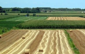AGRICOLTURA: PIANO SVILUPPO RURALE, 18 MILA DOMANDE FINANZIATE IN VENETO