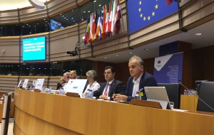 COMITATO EUROPEO REGIONI SU AGENDA 2030: SOSTENIBILITA’ NELLA LOGICA DELLA SUSSIDIARIETA’