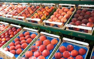 LA PESCA?…LA MERENDA IDEALE, PAROLA DEL PROF !