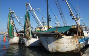 PESCA: REGIONE VENETO PROTESTA: PESCHERECCI ITALIANI PENALIZZATI DAL FERMO UE, NON VALIDO PER LA CROAZIA