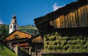 AGROALIMENTARE: IL MODELLO SAURIS