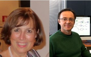 MECCANISMI MOLECOLARI, MALATTIE E NUOVE PROSPETTIVE NELLA RICERCA SUI TUMORI: A UDINE DUE CONFERENZE PUBBLICHE