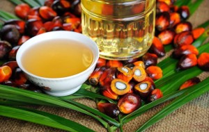 ALIMENTAZIONE TRA BUFALE, VERITA’ E CIBI DEL FUTURO