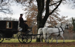 OPICINA: FOGLIE ROSSE SUL CARSO, VELE BIANCHE SUL MARE