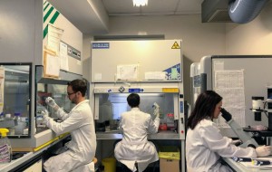 MEDICINA ANTICANCRO DI PRECISIONE: IL PROGETTO PRECANMED PRESENTA A UDINE I RISULTATI DI RICERCA PIÙ RECENTI