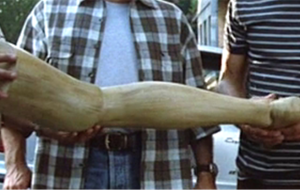 LA “TERZA GAMBA” PER LE MAESTRE A RISCHIO