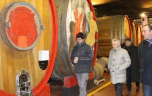 AGROALIMENTARE: ILLY, DEGUSTAZIONI E VISITE FANNO TURISMO