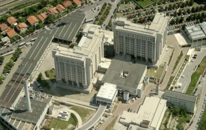 MORBO LYME: DERMATOLOGIA TRIESTINA RIMANE CENTRO DI RIFERIMENTO