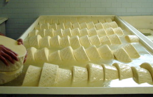 MONTASIO IN SCUOLE ALBERGHIERE E AGRARIE…E NON SOLO