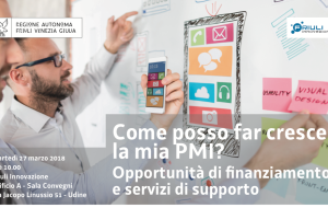 “COME POSSO FAR CRESCERE LA MIA PMI?”