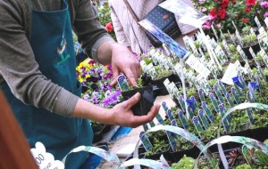 COGLI LA TUA PRIMAVERA CON POLLICE VERDE