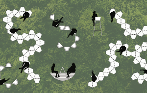 LA FILIERA DEL LEGNO FVG COSTRUISCE TRE SEDIE A WALDEN