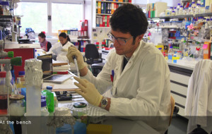 ICGEB: A TRIESTE 110 DELEGATI DA OLTRE 50 PAESI