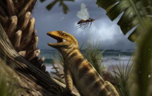 SULLA COPERTINA DI NATURE “LA MADRE DI TUTTE LE LUCERTOLE” –  UN IMPORTANTE CONTRIBUTO DA TRIESTE