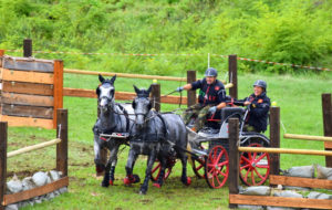 SPORT EQUESTRI: A PALMANOVA CONCORSO INTERNAZIONALE DI ATTACCHI