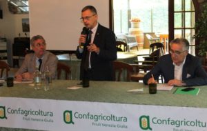 CONFAGRICOLTURA FVG: BUROCRAZIE E RITARDI NEI PAGAMENTI SONO ANCORA ALL’ORDINE DEL GIORNO