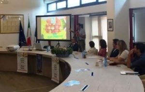 GRANDINE E BUROCRAZIA AMMALANO LE PESCHE