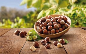 NOCCIOLE FVG PER LA LOACKER? SI LAVORA AL PROGETTO