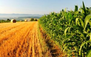 WEBINAR REGIONE SU NOVITA PSR FVG