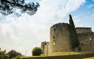 GORIZIA 18/18: DALLA GUERRA ALLA PACE, LE CANTINE RACCONTANO