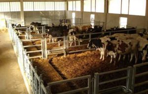 AGRICOLTURA A TUTTO TONDO: CICLO DI CONFERENZE. LA PRIMA AD AGRIEST