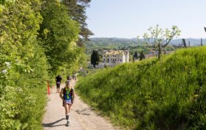 7° ECOMARATONA DEL COLLIO-BRDA