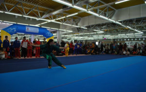 ARTI MARZIALI: A LIGNANO IN ARRIVO 2000 ATLETI