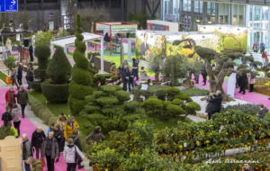 ORTOGIARDINO: +27% di visitatori