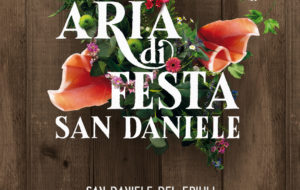 ARIA DI FESTA A GIUGNO MA PRIMA PARTE IL TOUR