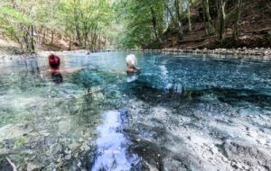 PRIMAVERA CARINZIANA: CICLISMO, GASTRONOMIA, TERME E BAGNO NEL BOSCO