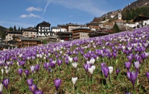 GASTRONOMIA E CULTURA SAURANE CON GUSTOCARNIA